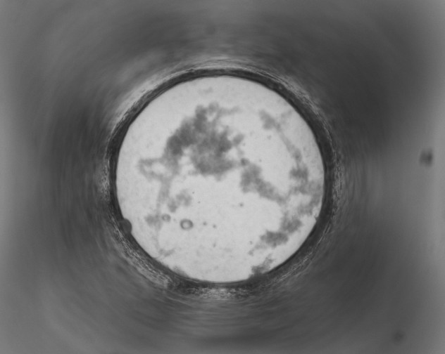 X0000115591167200912081042
