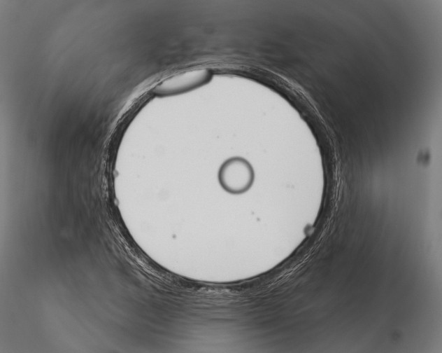 X0000115591168200912081042