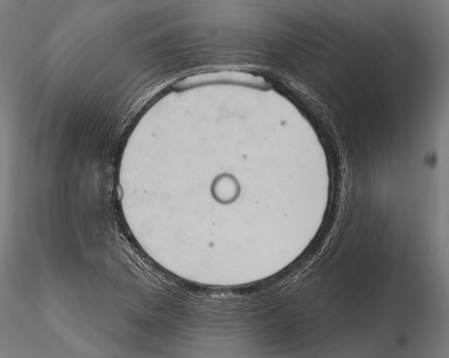 X0000115591169200912081042