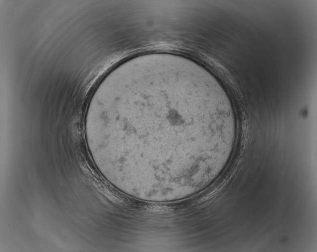 X0000115591170200912081042