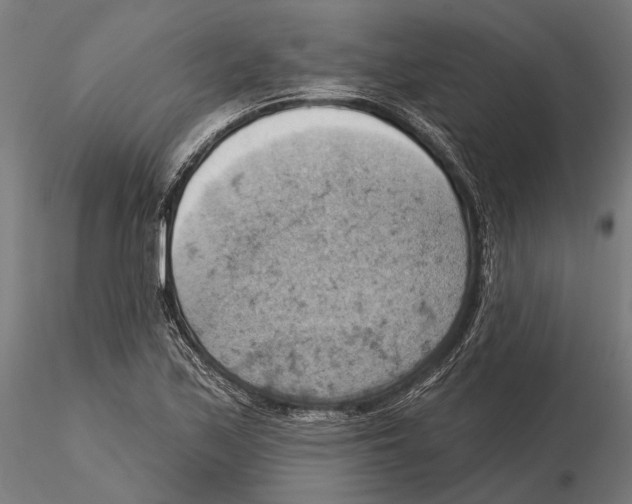 X0000115591171200912081042