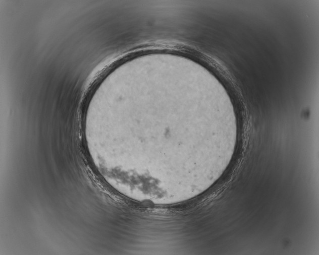 X0000115591172200912081042