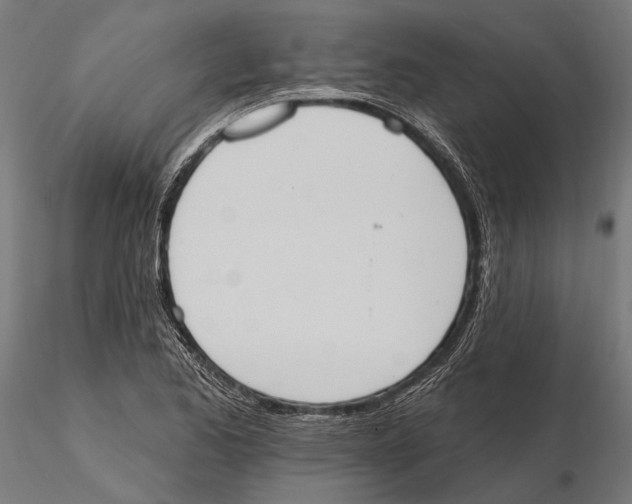 X0000115591173200912081042