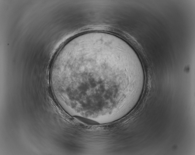 X0000115591174200912081042