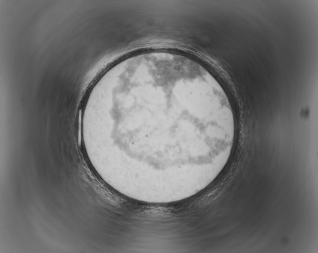 X0000115591175200912081042