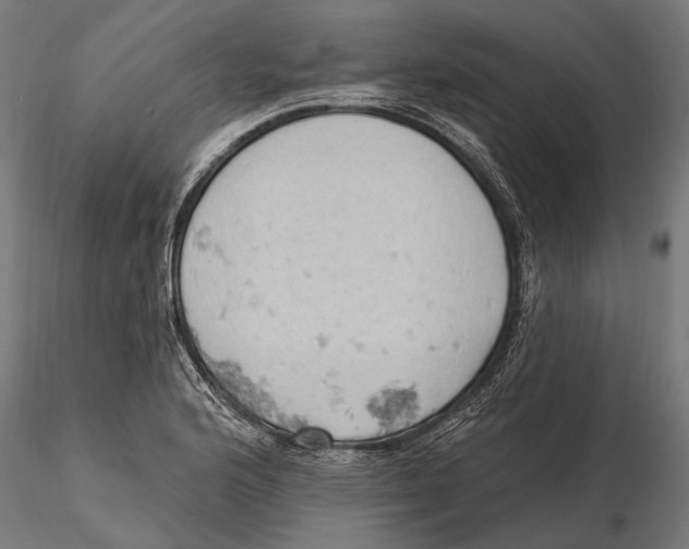 X0000115591176200912081042