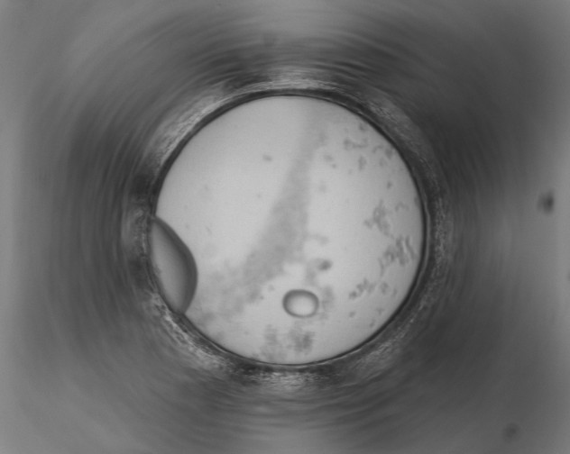 X0000115591177200912081042
