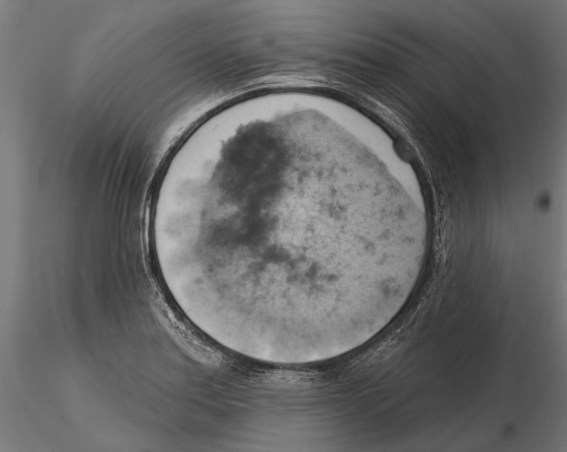 X0000115591179200912081042