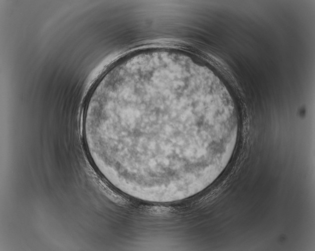 X0000115591180200912081042