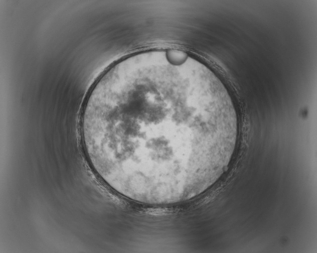 X0000115591182200912081042