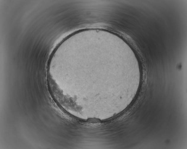 X0000115591184200912081042