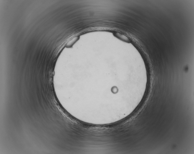 X0000115591185200912081042