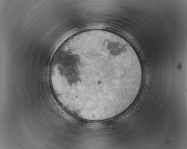 X0000115591186200912081042
