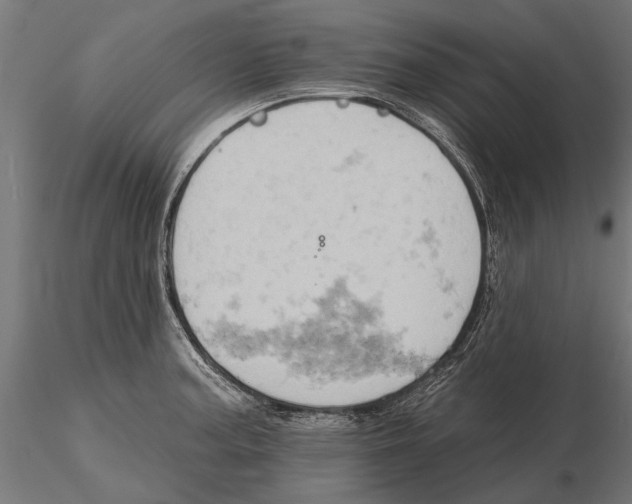 X0000115591187200912081042