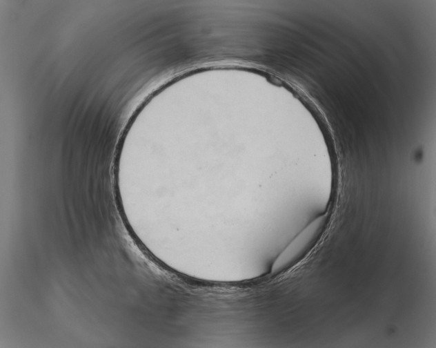 X0000115591189200912081042