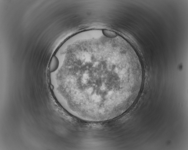 X0000115591190200912081042