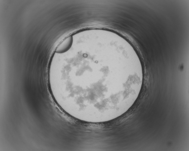 X0000115591191200912081042