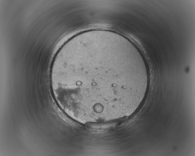 X0000115591192200912081042
