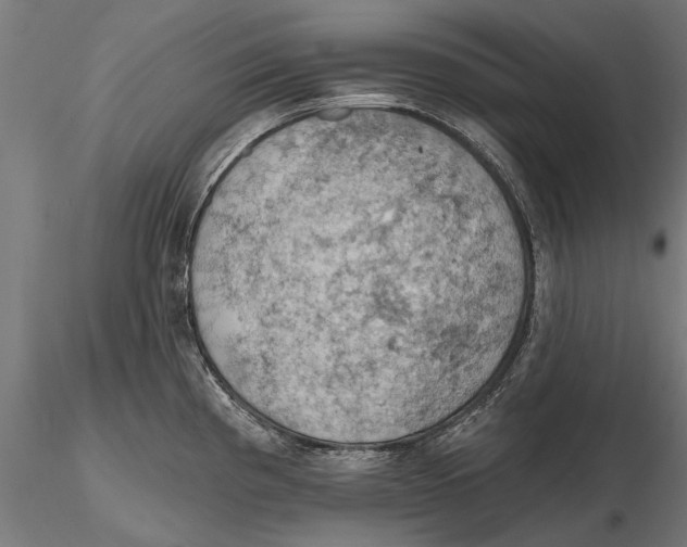 X0000115591193200912081042