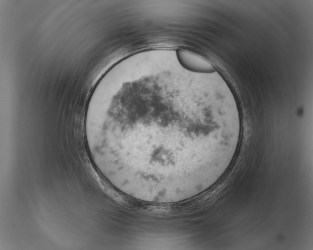 X0000115591194200912081042