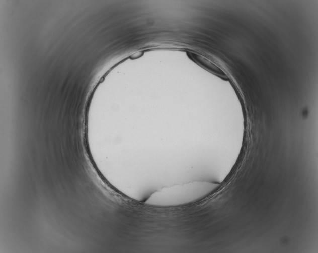 X0000115591195200912081042
