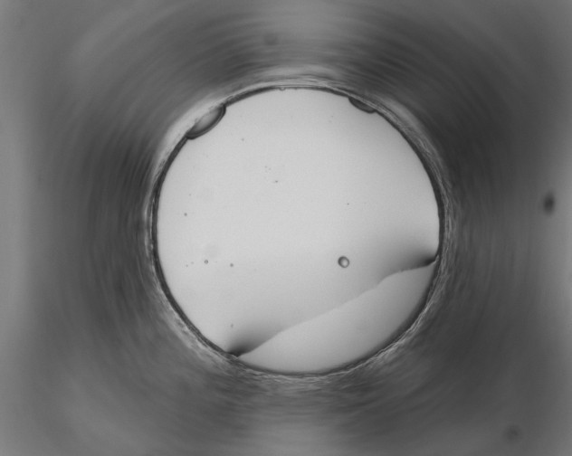 X0000115591196200912081042