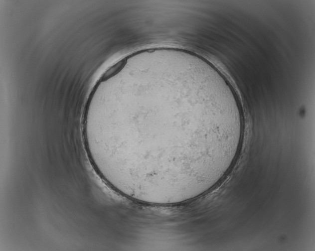 X0000115591197200912081042