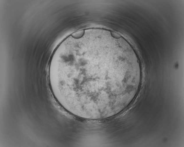 X0000115591198200912081042