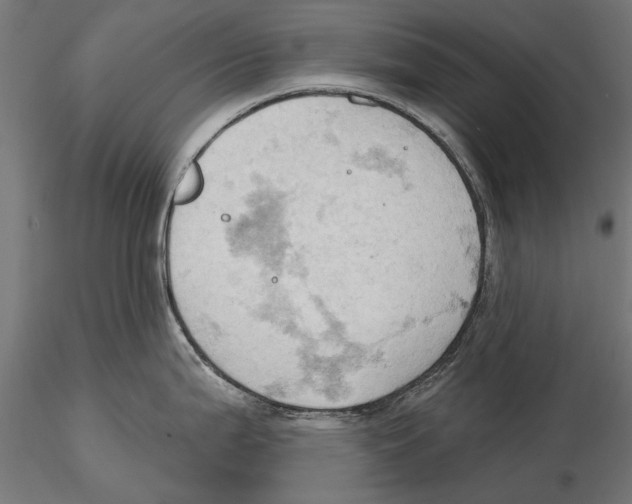 X0000115591199200912081042