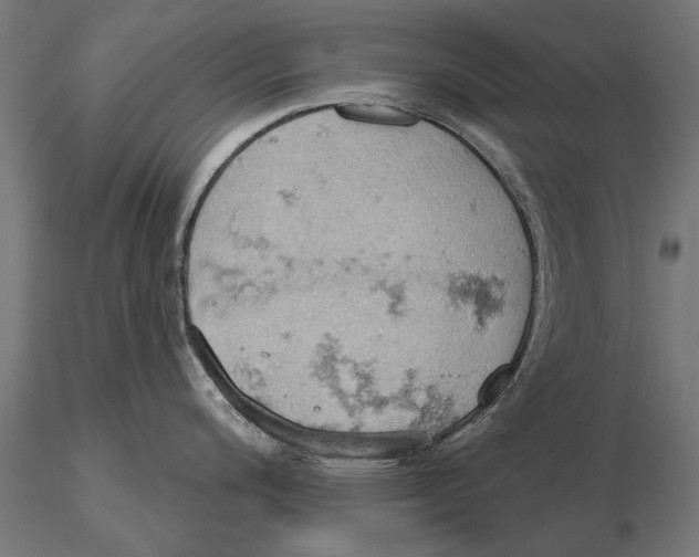X0000115591200200912081042