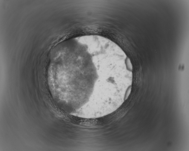 X0000115591201200912081041