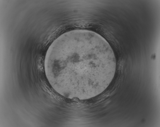 X0000115591202200912081041