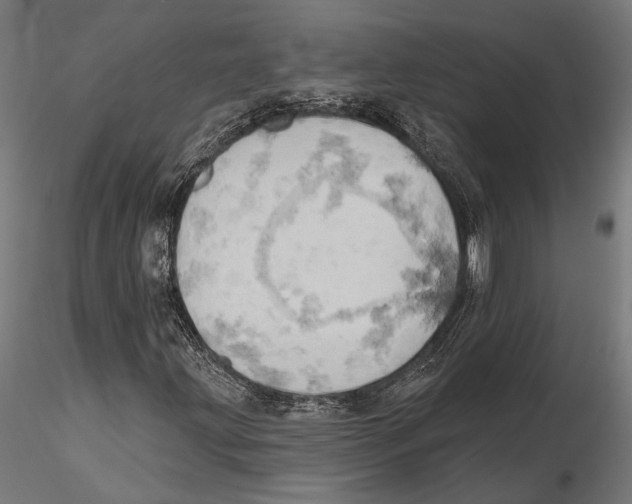 X0000115591203200912081041