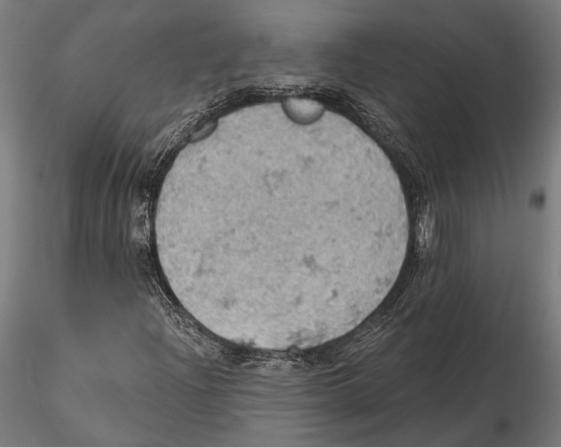 X0000115591204200912081041