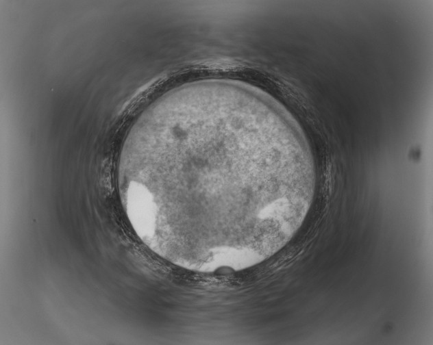 X0000115591205200912081041