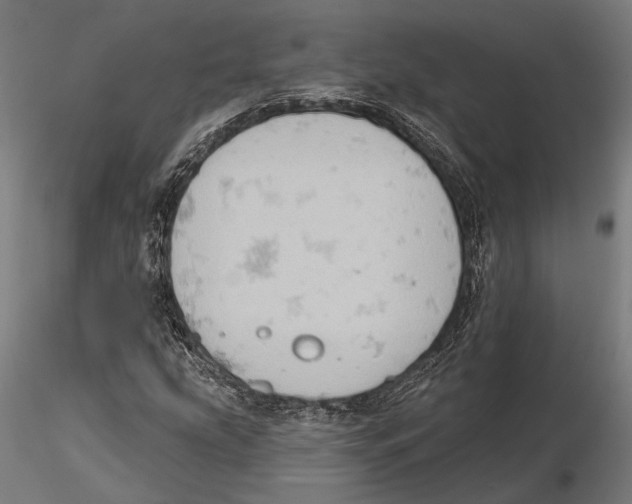 X0000115591207200912081041