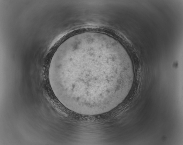 X0000115591208200912081041