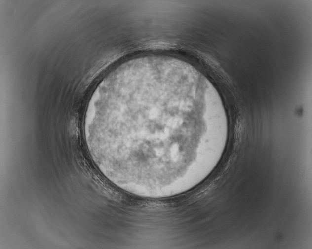 X0000115591209200912081041