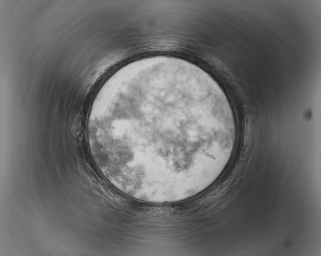 X0000115591210200912081041