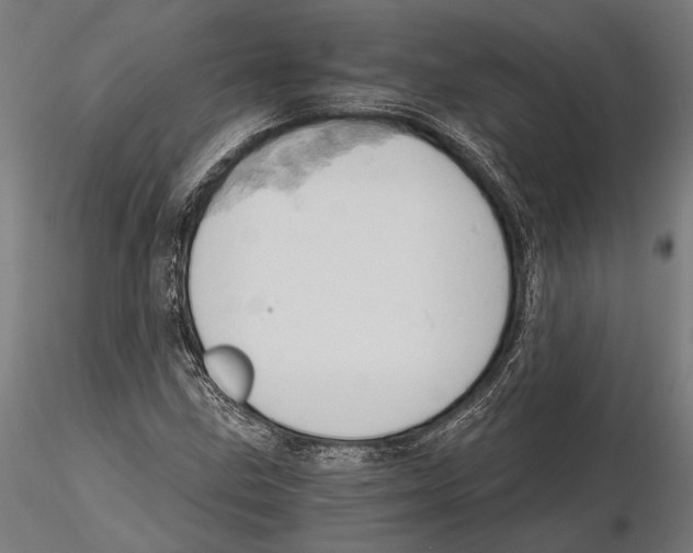 X0000115591211200912081041