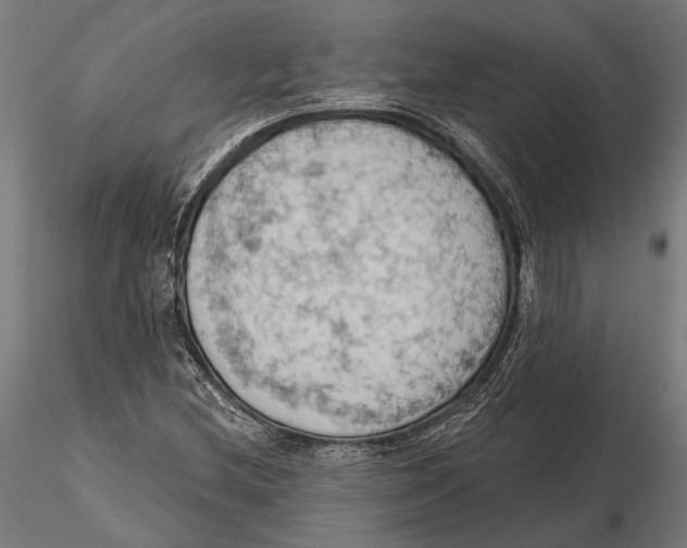 X0000115591212200912081041
