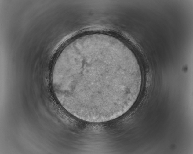 X0000115591213200912081041
