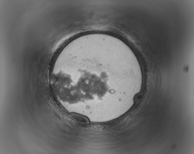 X0000115591214200912081041