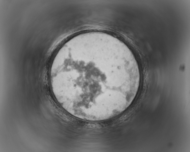 X0000115591215200912081041