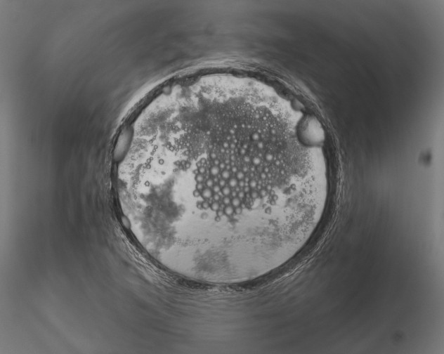 X0000115591216200912081041