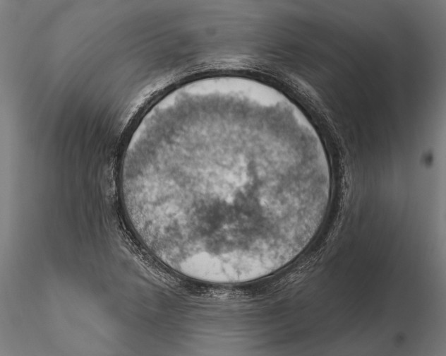 X0000115591218200912081041