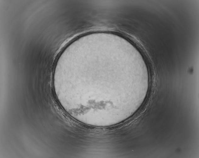 X0000115591220200912081042