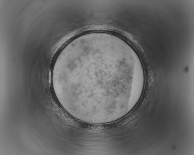 X0000115591221200912081042