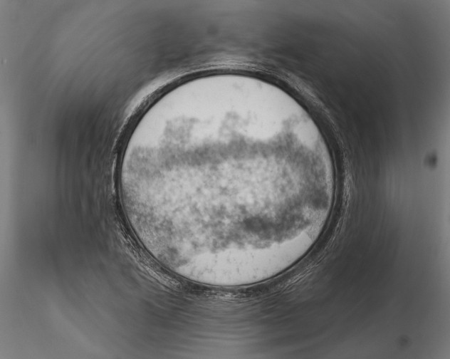 X0000115591222200912081042
