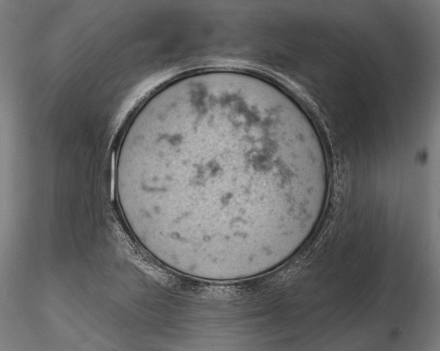 X0000115591223200912081042
